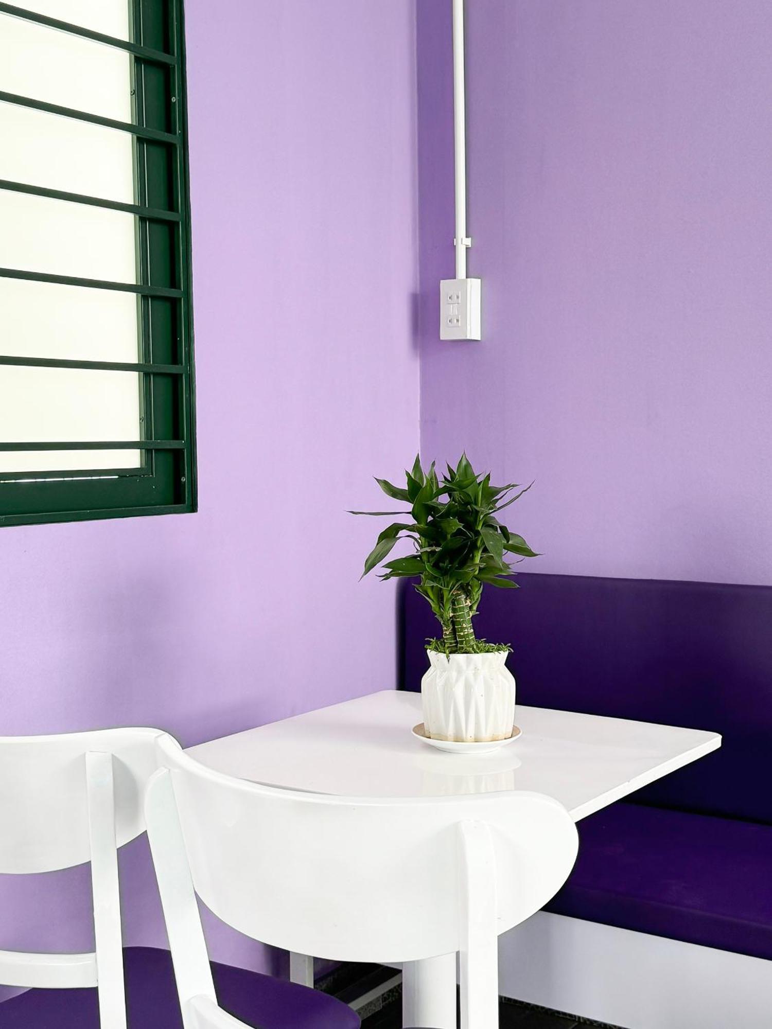Plumeria Homestay Thon Kim Long Dış mekan fotoğraf
